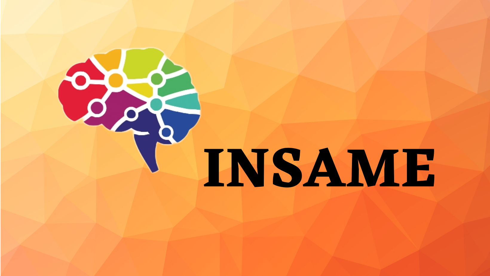 Instituto Nacional de Salud Mental
